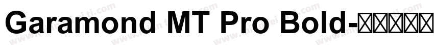 Garamond MT Pro Bold字体转换